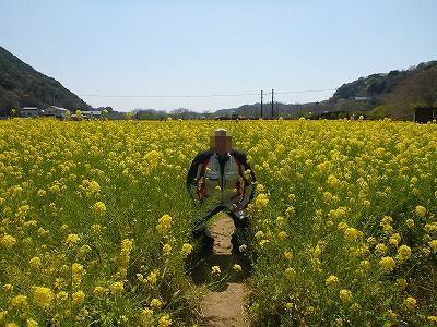 キャンプツーリングの再開 キャンプツーリングの再開