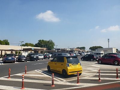 ちょっと癒やされに ちょっと癒やされに