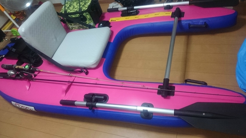 究極の進化!! 究極の進化!!