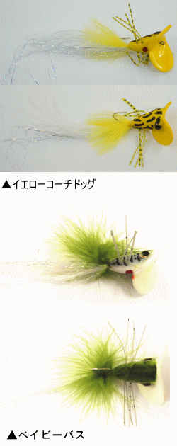 マキマキ補強(^0_0^) マキマキ補強(^0_0^)