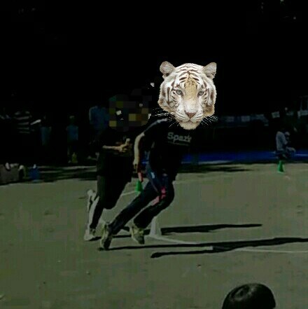 運動会と水戸南FA(^^♪ 運動会と水戸南FA(^^♪