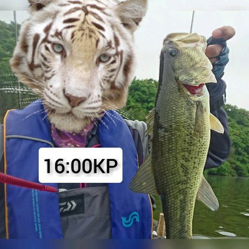 エンジョイ(^◇^)プカプカしたよ(^^♪春爆 エンジョイ(^◇^)プカプカしたよ(^^♪春爆
