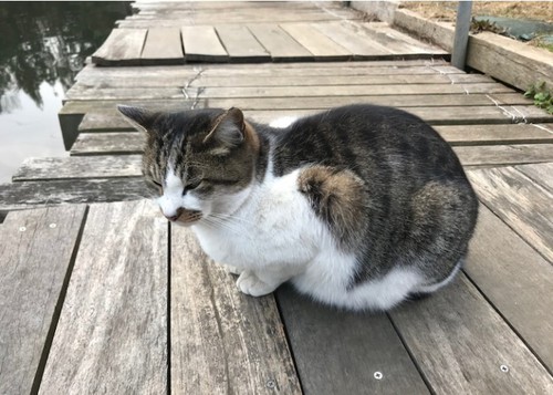 プラっとNOIKEに行って来ました( ^∀^) プラっとNOIKEに行って来ました( ^∀^)