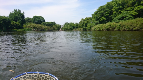 行って来ました( ☆∀☆)F沼 行って来ました( ☆∀☆)F沼
