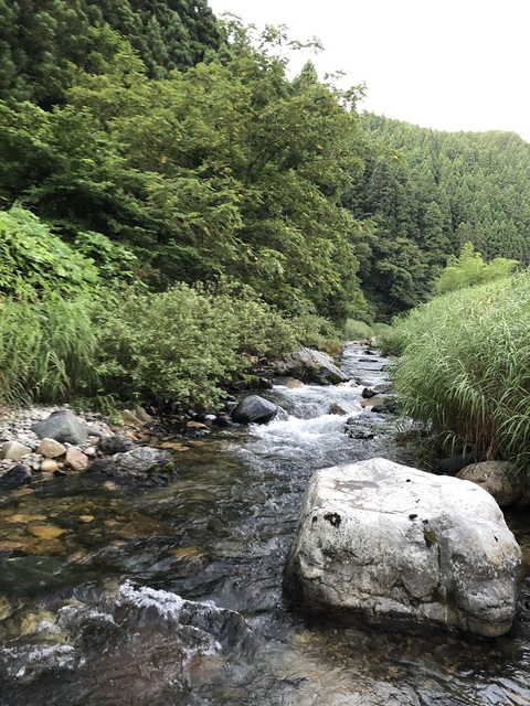 Season in the Stream. Season in the Stream.