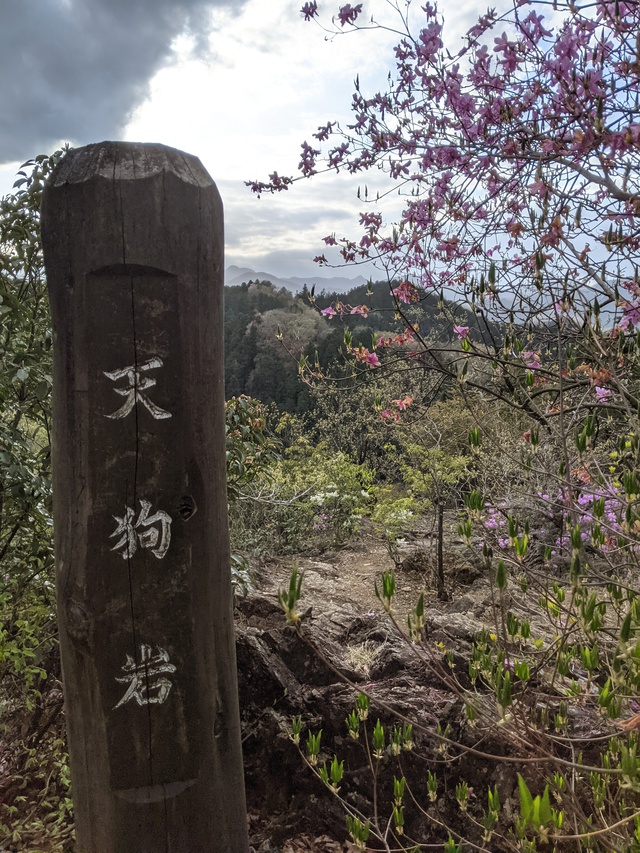 絶景! 絶景!