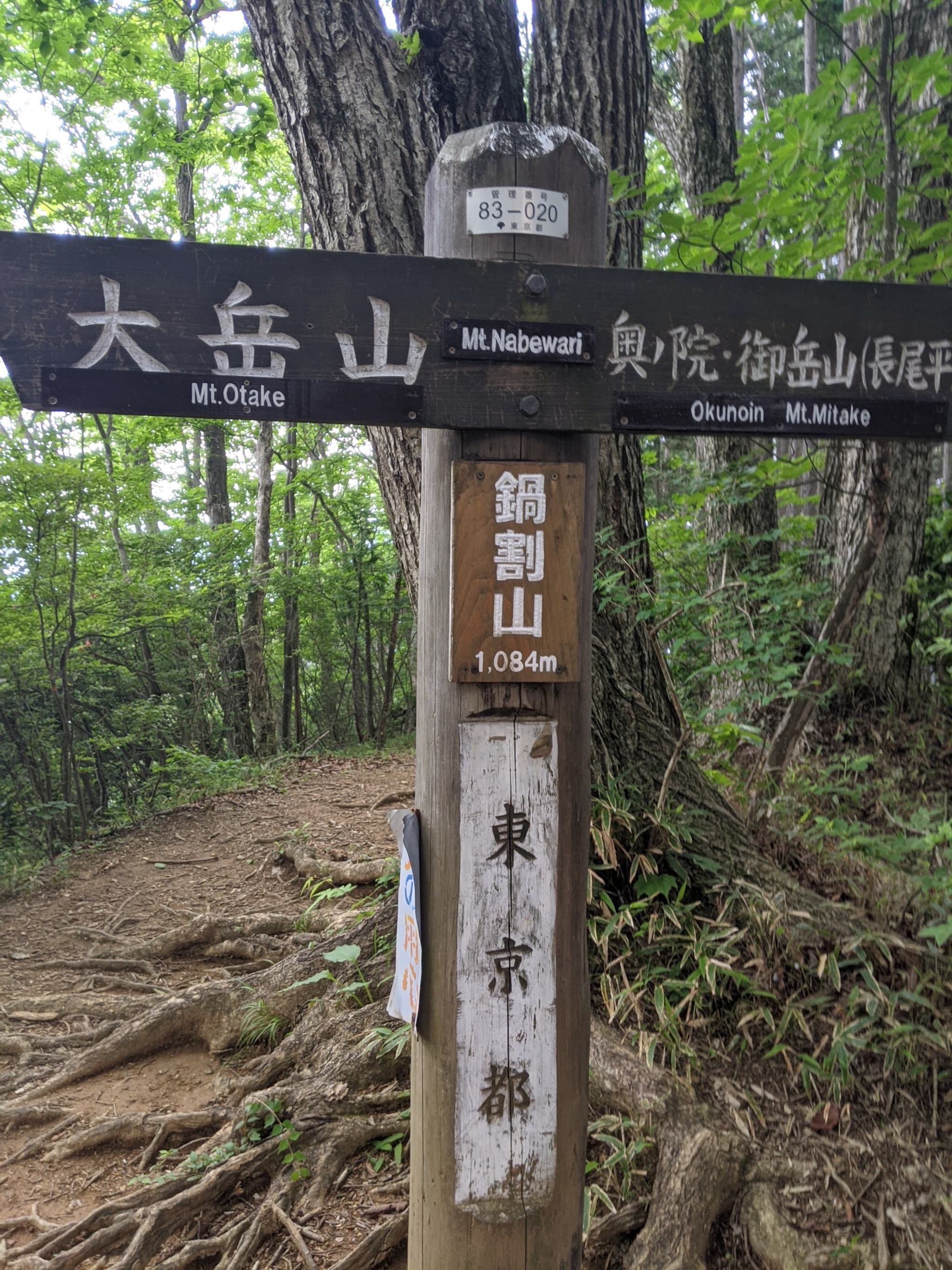 大岳山、久しぶりの山歩き 大岳山、久しぶりの山歩き