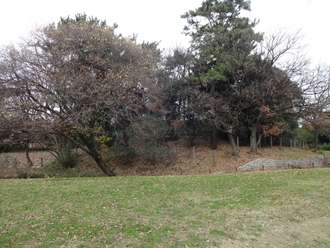 年末年始休暇初日 堺市:仁徳天皇陵古墳を拝みたい 年末年始休暇初日 堺市:仁徳天皇陵古墳を拝みたい