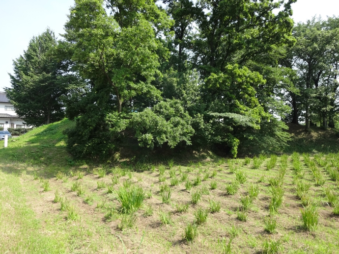 埼玉古墳群、さきたま史跡の博物館 埼玉古墳群、さきたま史跡の博物館