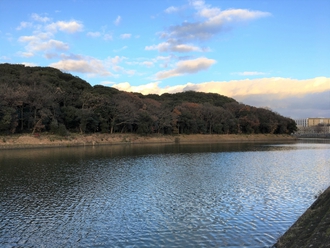 年末年始休暇初日 堺市:仁徳天皇陵古墳を拝みたい 年末年始休暇初日 堺市:仁徳天皇陵古墳を拝みたい