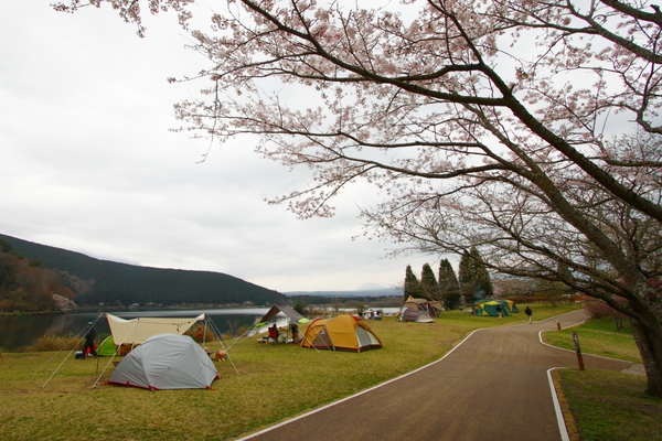 田貫湖キャンプ場（2016春）