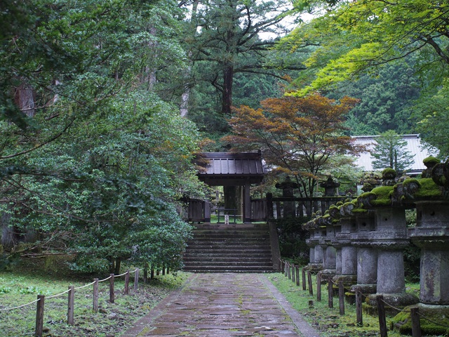 中禅寺湖でハンモック泊 中禅寺湖でハンモック泊