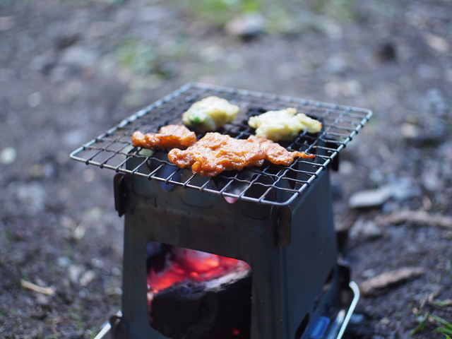 晩夏のソロキャンプ~DDタープでハンモック泊~ 晩夏のソロキャンプ~DDタープでハンモック泊~