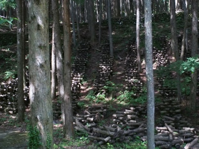 向暑の奥秋テント村~タープ泊~ 向暑の奥秋テント村~タープ泊~