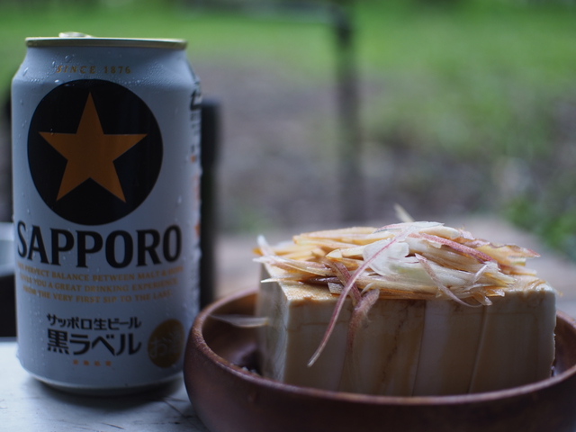 晩夏のソロキャンプ~DDタープでハンモック泊~ 晩夏のソロキャンプ~DDタープでハンモック泊~