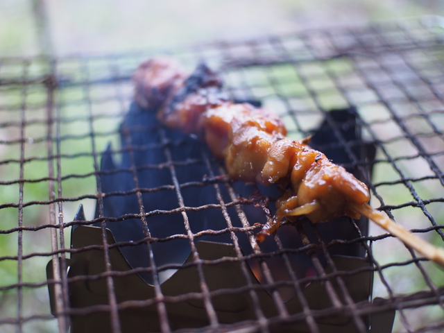 新緑の奥秋テント村~焚火と酒と煙草~ 新緑の奥秋テント村~焚火と酒と煙草~