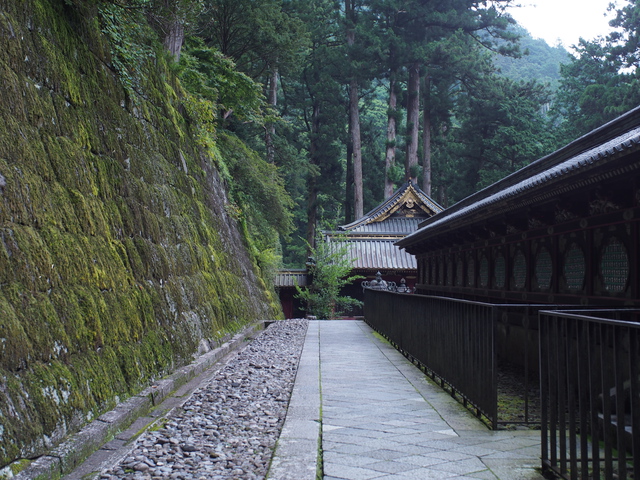 中禅寺湖でハンモック泊 中禅寺湖でハンモック泊
