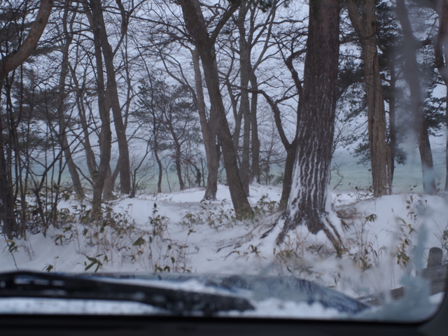 雪中ハンモック~吹雪で無念の車中泊~ 雪中ハンモック~吹雪で無念の車中泊~