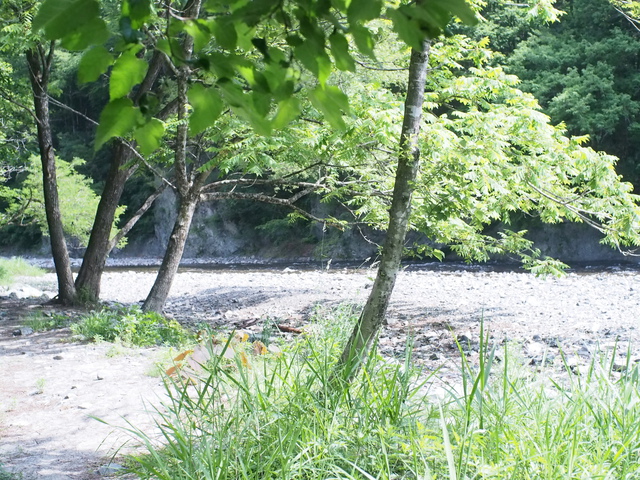 向暑の奥秋テント村~タープ泊~ 向暑の奥秋テント村~タープ泊~