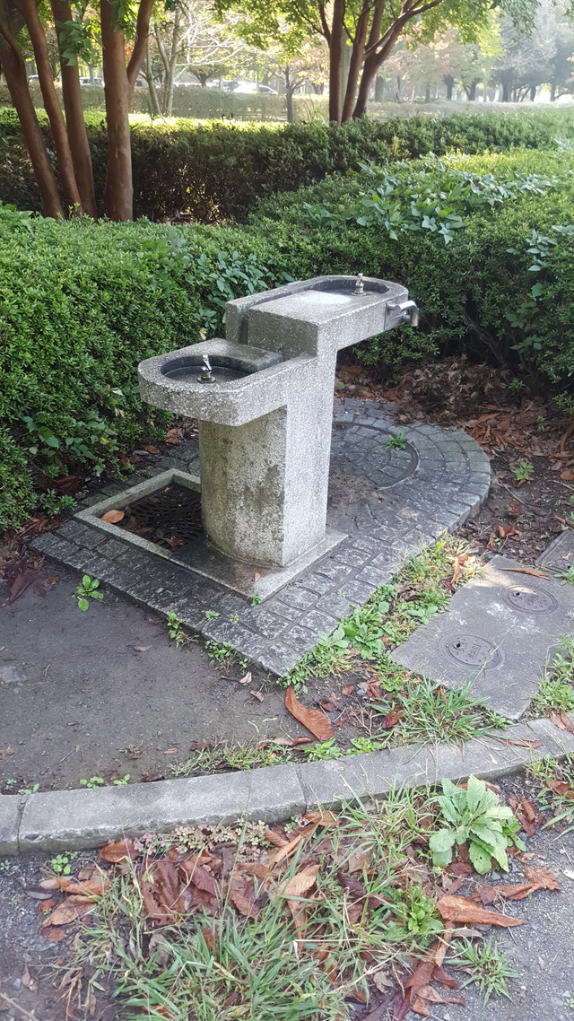 埼玉県某私営地へ出撃 埼玉県某私営地へ出撃
