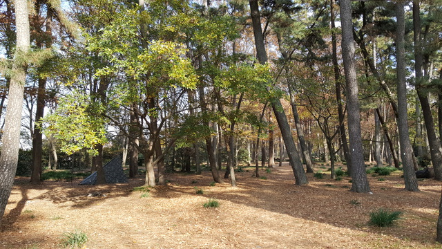 角渕キャンプ場へ出撃 角渕キャンプ場へ出撃