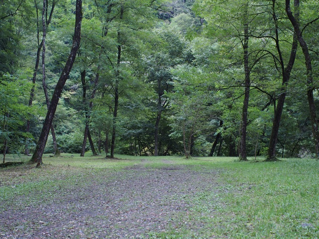新涼のタープ泊~おでんと熱燗~ 新涼のタープ泊~おでんと熱燗~