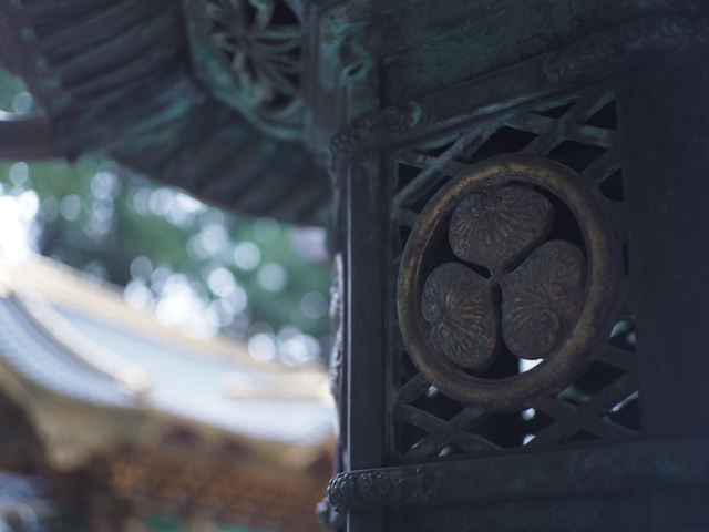 中禅寺湖でハンモック泊 中禅寺湖でハンモック泊