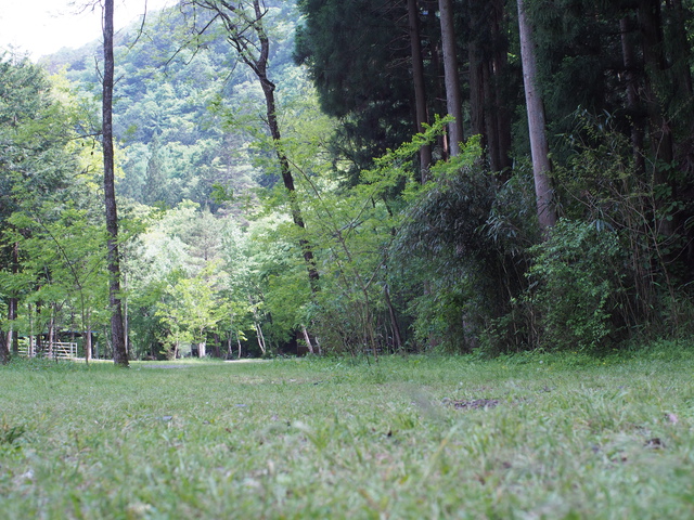新緑の奥秋テント村~ムササビでタープ泊~ 新緑の奥秋テント村~ムササビでタープ泊~
