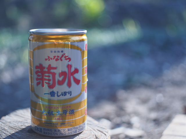 リーンツーでオーバーナイト リーンツーでオーバーナイト