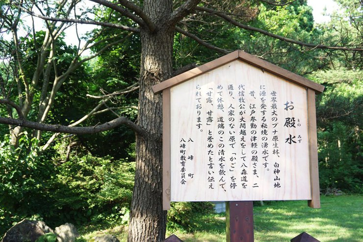 みちのく珍道中② みちのく珍道中②
