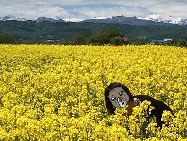 ママの休日日記 ママの休日日記
