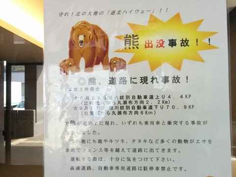 昼シコ 昼シコ