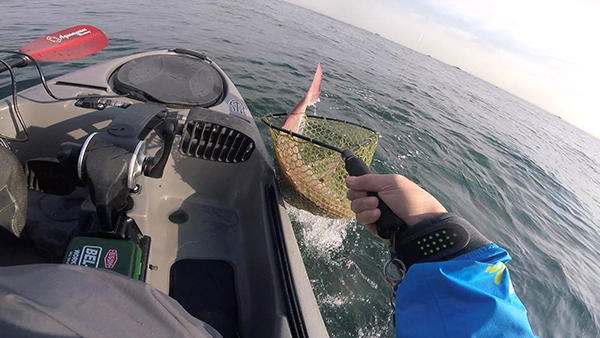 東京湾で魚探テスト&マダイ(Kayak39) 東京湾で魚探テスト&マダイ(Kayak39)