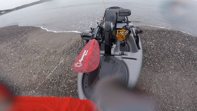 秋雨の海で美味しい魚を釣りたい(Kayak9) 秋雨の海で美味しい魚を釣りたい(Kayak9)
