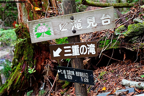滝見歩きとしあわせキャンプ　～西沢渓谷編～