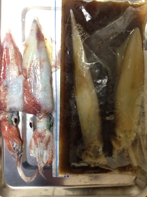 釣女『堤防の先端を譲ると♪(´ε` )』 釣女『堤防の先端を譲ると♪(´ε` )』