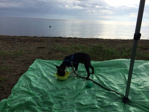 キャンプ 初の琵琶湖へ・・・・後編 キャンプ 初の琵琶湖へ・・・・後編