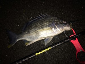 2015年 初チニング! 2015年 初チニング!