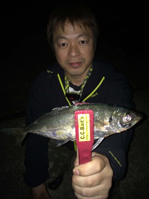 もうデカ鯵が始まってる・・・・後編! もうデカ鯵が始まってる・・・・後編!
