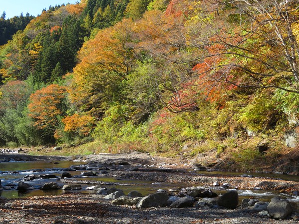 上野村へ紅葉と川を見に行ってきました