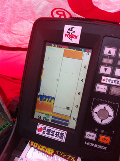 魚探を楽しむ