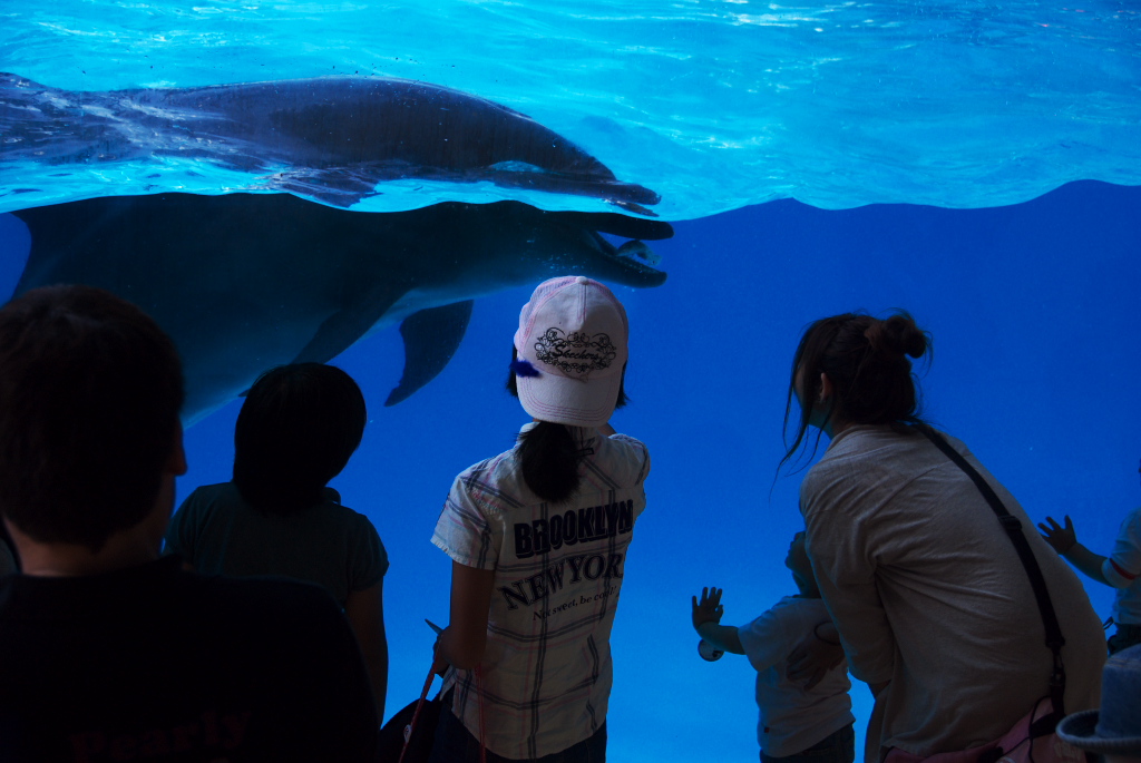 海浜(カイヒン)と陽浜(ヨウヒン)に会いたい!(その2)