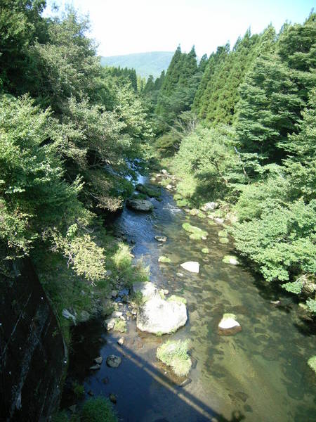 大分出張&遠征&・・・