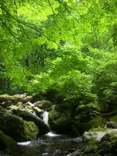 尺狙い!~雷雨