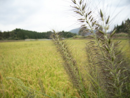 大分出張&遠征&・・・