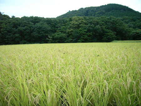 大分出張&遠征&・・・