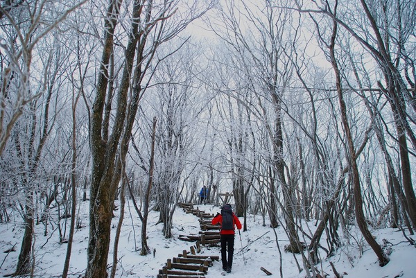 2013 霧氷の三峰山(奈良県)