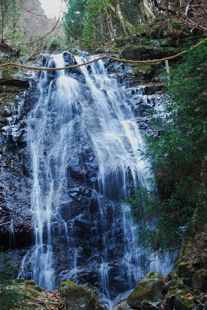 2013 霧氷の三峰山(奈良県)
