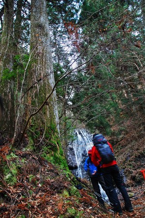 2013 霧氷の三峰山(奈良県)