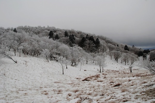 2013 霧氷の三峰山(奈良県)